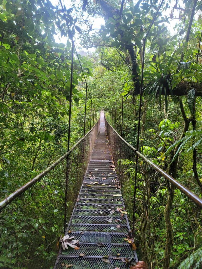 Swinging Bridges, Boquete Panama