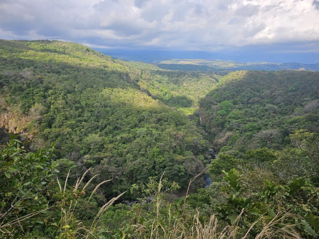 View roadside from Caldera, Panama
