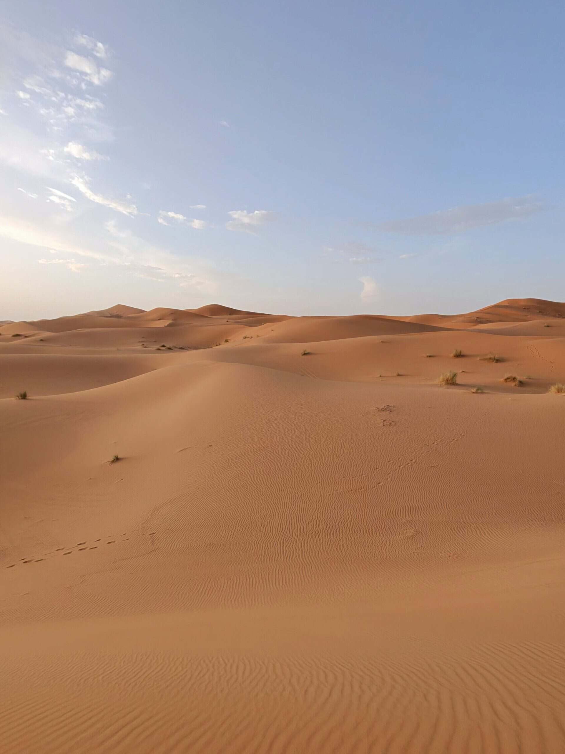 Sahara Desert sand dunes in Morocco