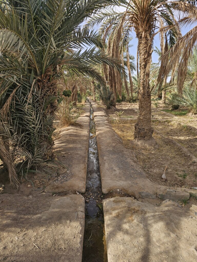 Agriculture in Morocco